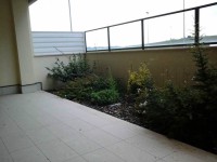 /album/codice-annuncio-1474980/a20141013-170953-jpg/